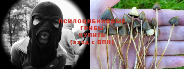 молекула духа Армянск