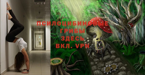 таблы Арсеньев