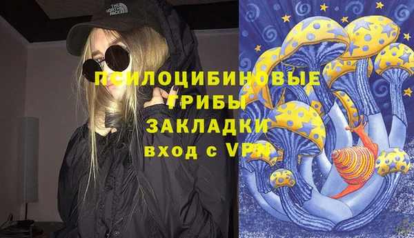 PSILOCYBIN Алексеевка